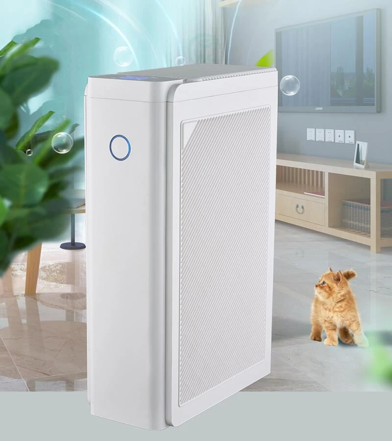 product-1-1 QQ20211014094917