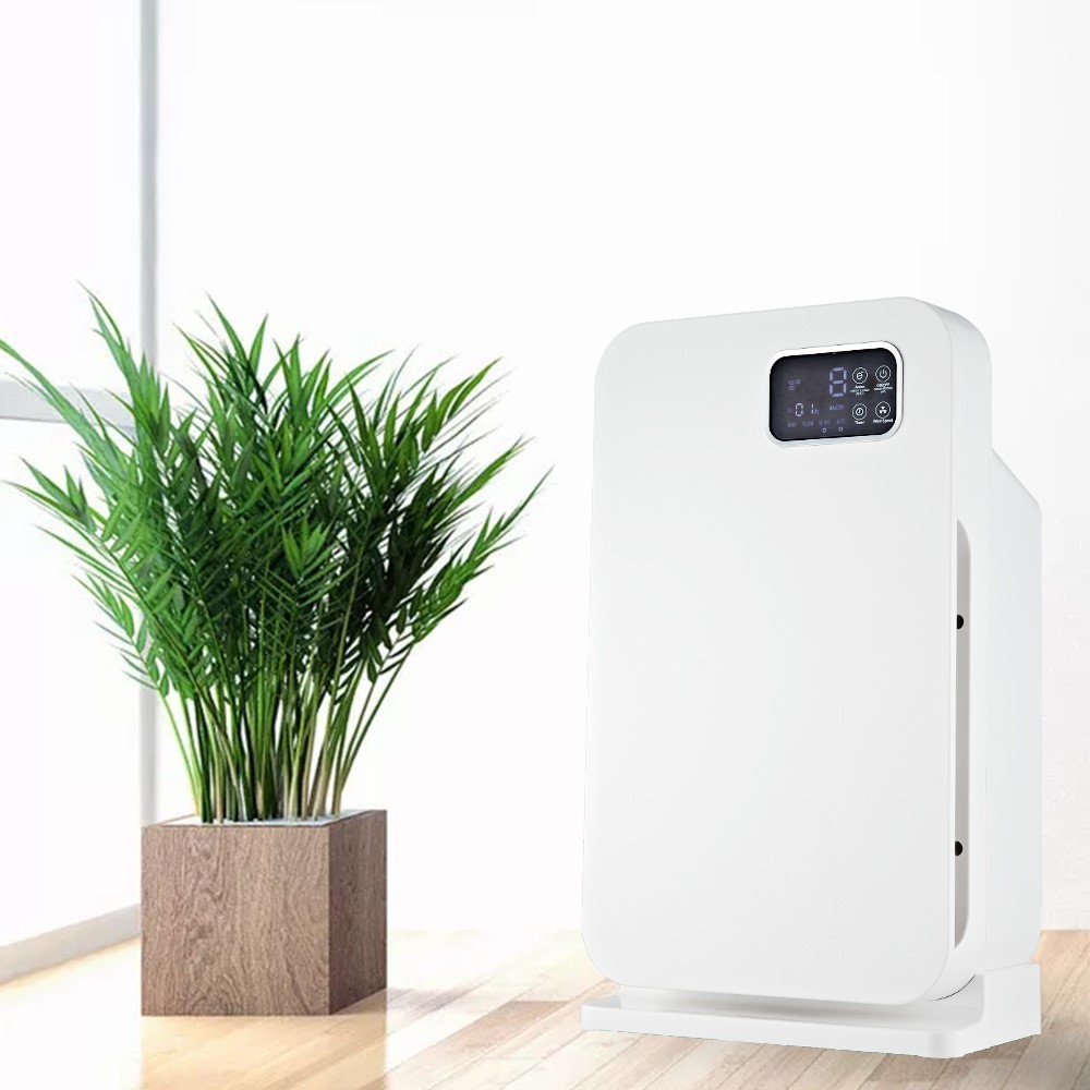 product-1000-1000 BK-05-6