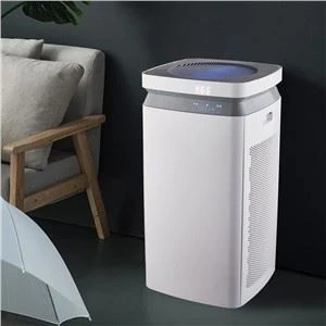 2022 Bộ lọc HEPA Ionizer Sử dụng trong nhà Máy lọc làm sạch không khí trong nhà thông minh
