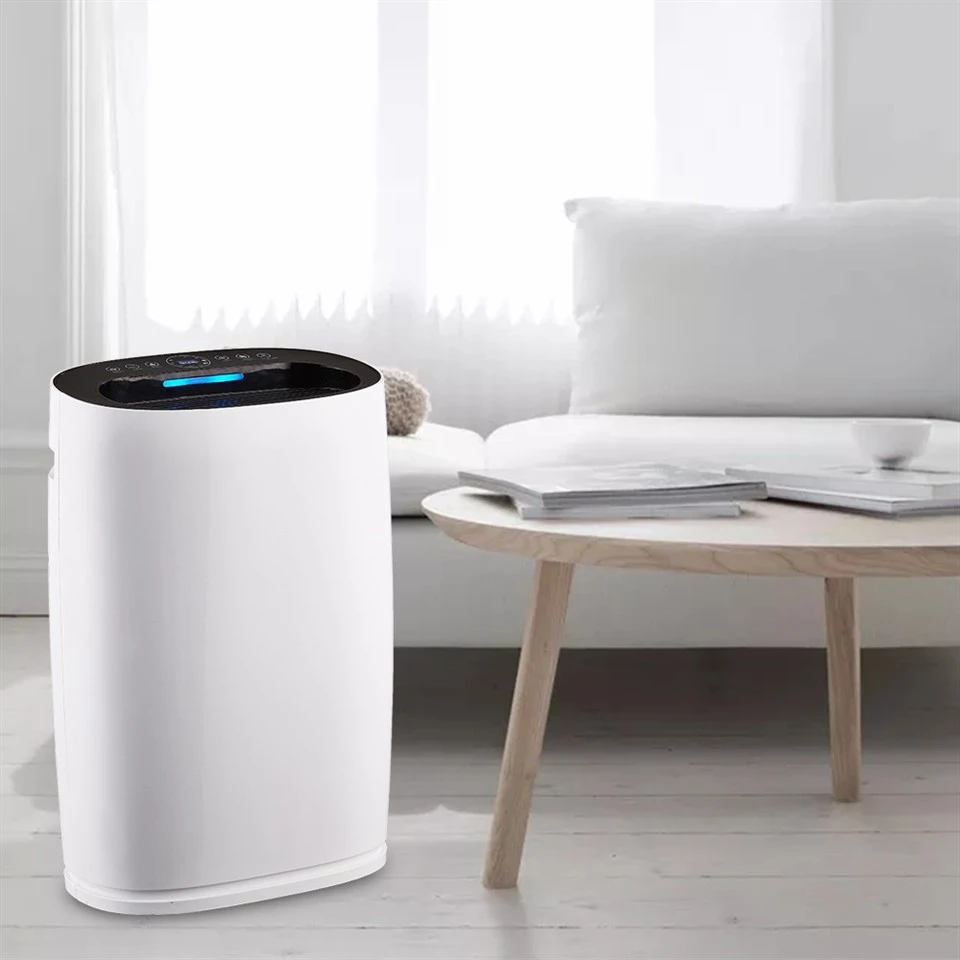 BKJ-306 Wifi Control Smart Home Air Purifier suppliers