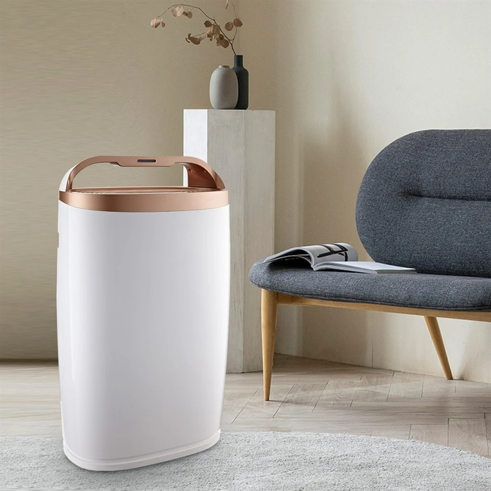BKJ-306A Home Use Air Purifier With APP Control suppliers