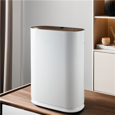BKJ-300 Anion Hepa Room Purifier