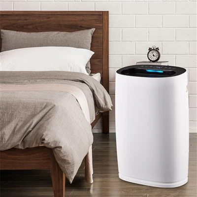 BKJ _306 Formaldehyd máy lọc không khí kích hoạt HEPA